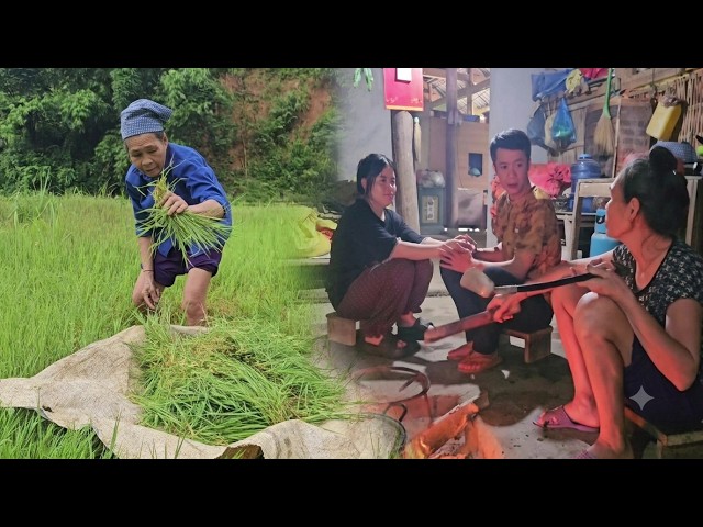 Elderly Mother Braving Heavy Rain, Pregnant Wife at Home, Caring Husband Returns in the Storm