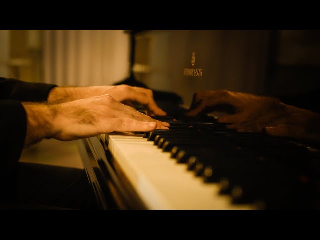 Reid Willis - Olson (Boards of Canada Cover) - Live at the Marigny Opera House