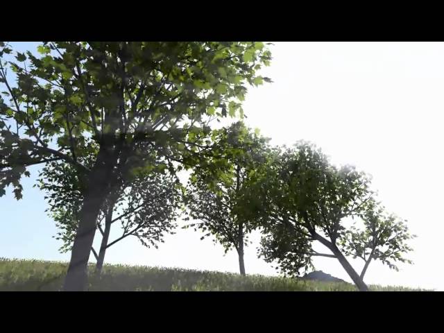 Real-Time Rendering and Animation of Trees
