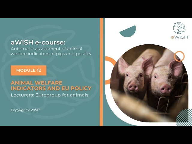 aWISH e-course 12.2: Animal welfare indicators and EU policy