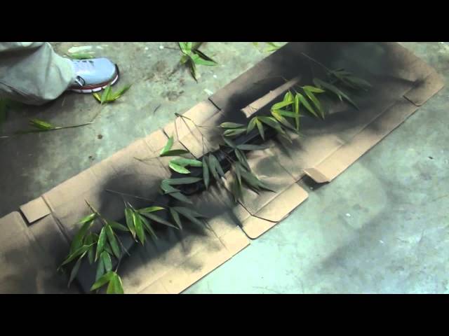 Camouflage Daisy Powerline 880 (Spray Paint) #camoflage #diypainting #camopainting #airrifles