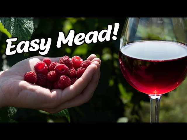 How to Make a Raspberry Mead at Home!