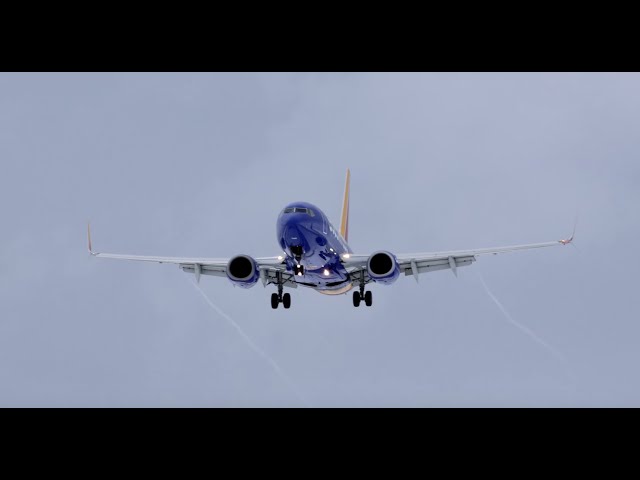 What is a NOTAM and Why Did it Cause an FAA Ground Stop? Flight Dispatchers Answering Your Questions