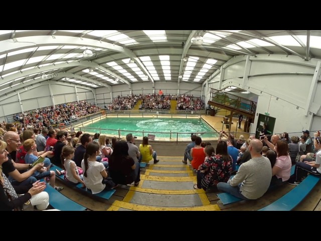 Blair Drummond Safari Zoo 360 video