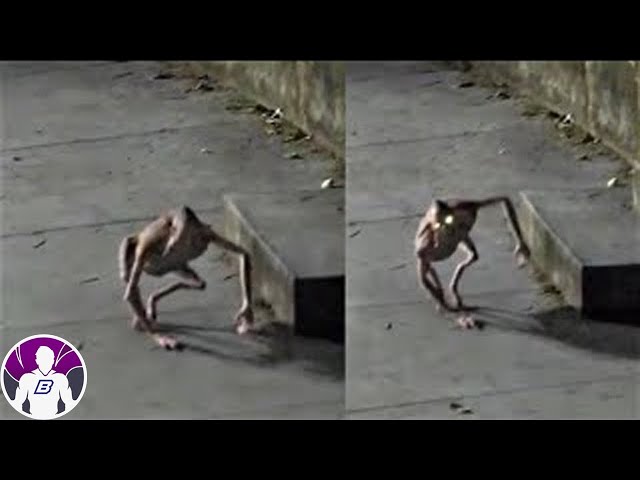 7 Videos Paranormales Reales Enviados Por Mi Audiencia