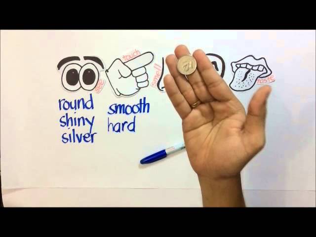 Basic Science Process Skills: Observing