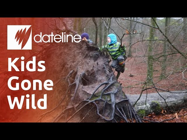Denmark's Forest Kindergartens