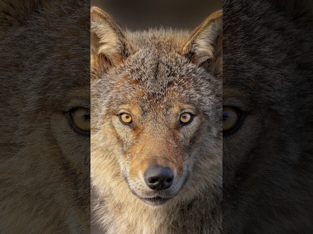 Simple lighting trick in Photoshop