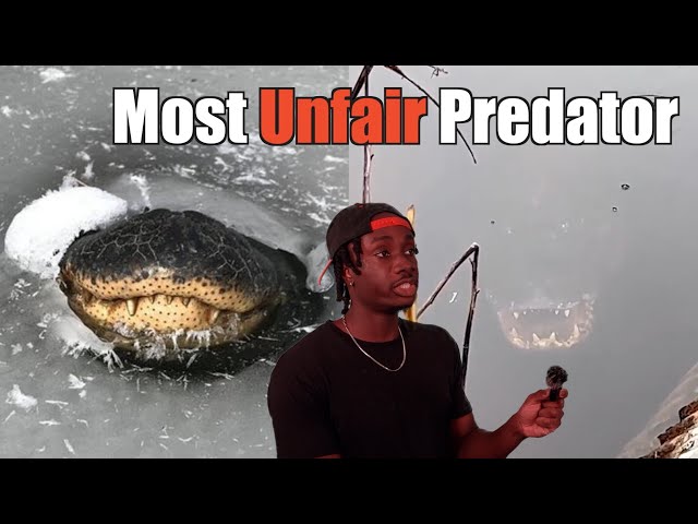 Why This is the Scariest Predator of All Time