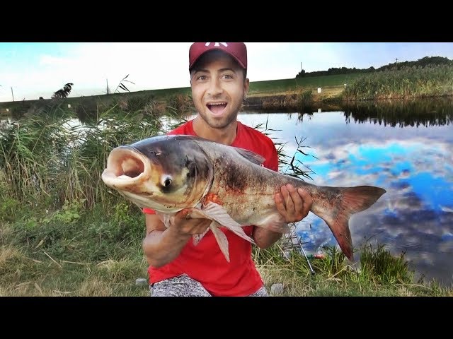 FISHING BY NOVAC HUGE SUPER DRIL NOVAC FISHVLOG Fish Hacker