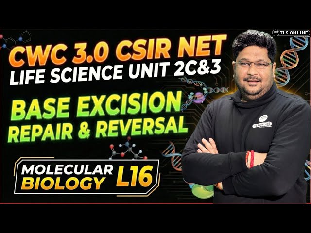 𝐁𝐚𝐬𝐞 𝐄𝐱𝐜𝐢𝐬𝐢𝐨𝐧 𝐑𝐞𝐩𝐚𝐢𝐫 & 𝐑𝐞𝐯𝐞𝐫𝐬𝐚𝐥 | 𝐂𝐒𝐈𝐑 𝐍𝐄𝐓 𝐋𝐢𝐟𝐞 𝐒𝐜𝐢𝐞𝐧𝐜𝐞 𝐔𝐧𝐢𝐭 𝟐𝐂 & 𝟑 | 𝐌𝐨𝐥𝐞𝐜𝐮𝐥𝐚𝐫 𝐁𝐢𝐨𝐥𝐨𝐠𝐲 𝐋𝟏𝟔