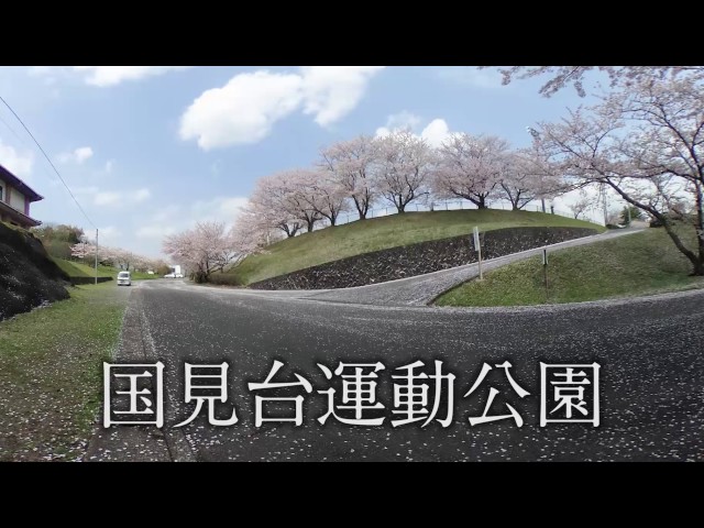 桜スポット 伊万里
