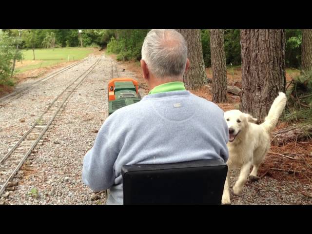 Retired vice admiral's backyard train