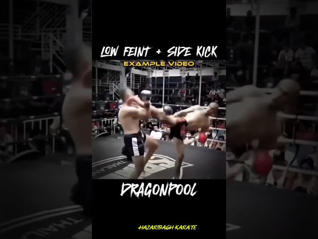 HOW TO LEARN LOW FEINT + SIDE KICK TUTORIAL 💥#shorts #trending #viral #reels #viralvideo #ytshorts