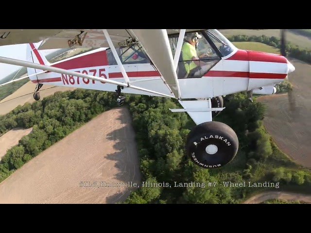 Supercub PA18 Takeoffs and Landings -  A Study #Supercub