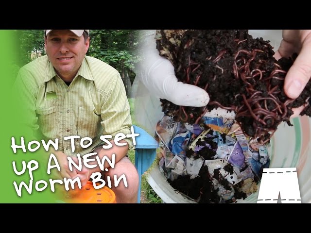 How To Start Worm Composting [Simple & Cheap]