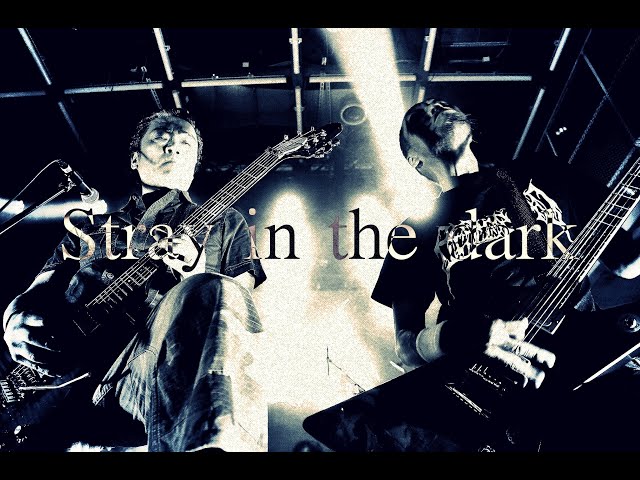 BEREAVED/ "Stray in the Dark" official PV