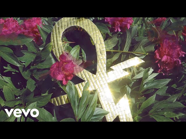 Temples - Paraphernalia (Official Visualizer)