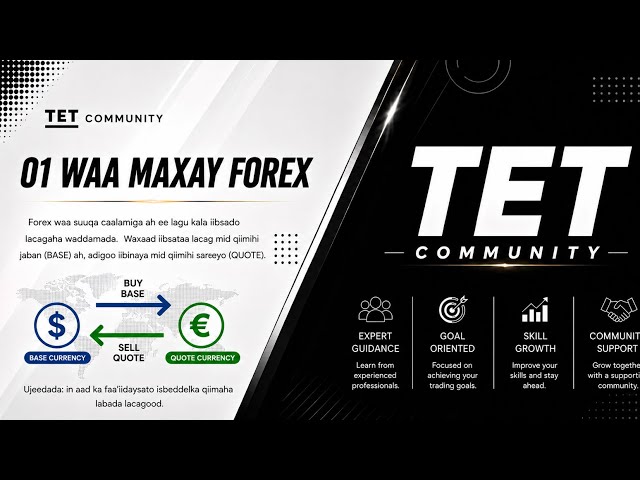 01 Basic : Waa maxay Forex
