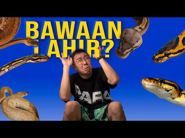 Why Are Humans Afraid of Snakes?