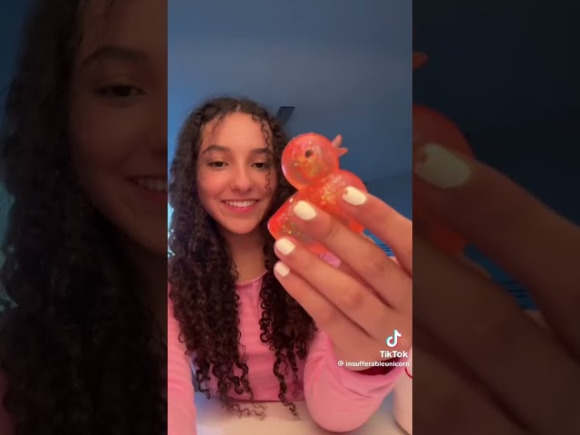 Squishy collection tour
