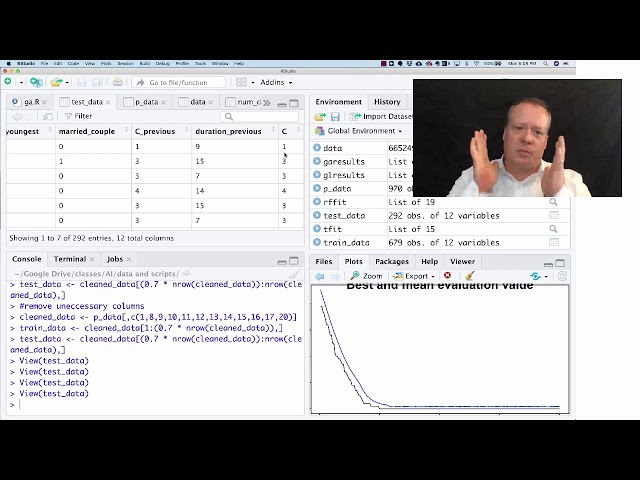 MBA - AI - Applied Genetic Algorithms in R