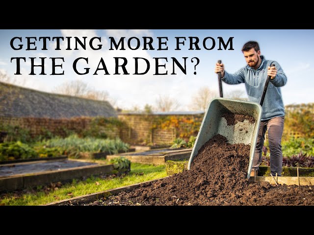 Why I'm Moving Beyond No Dig Vegetable Gardening