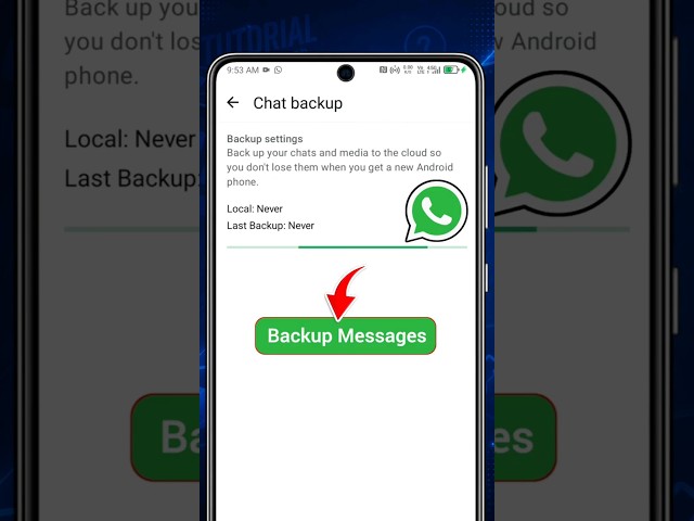 How to Backup WhatsApp Messages (2026) | WhatsApp Chat Backup Tutorial