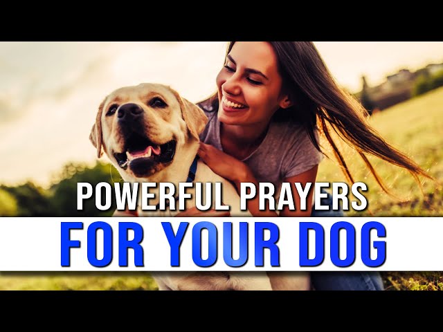 Powerful Prayers For Dogs | Prayer For Healing For My Dog | Prayer For My Dog