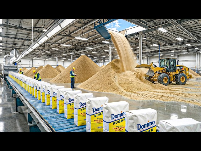 How Sugar Is Made In Factory