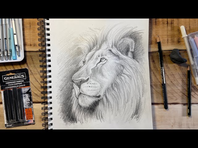 LIVE session🔥Full Process for Drawing Better