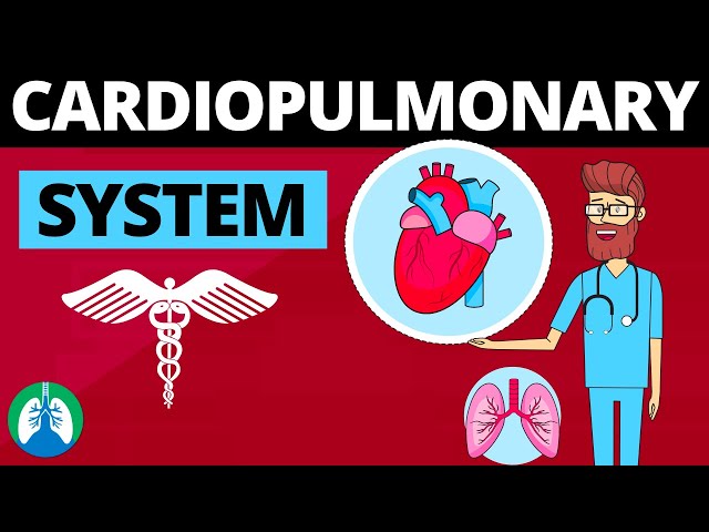 Cardiopulmonary System (Medical Definition) | Quick Explainer Video