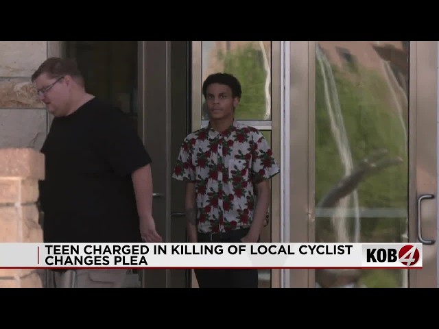 Teen charged in killing of local cyclist changes plea