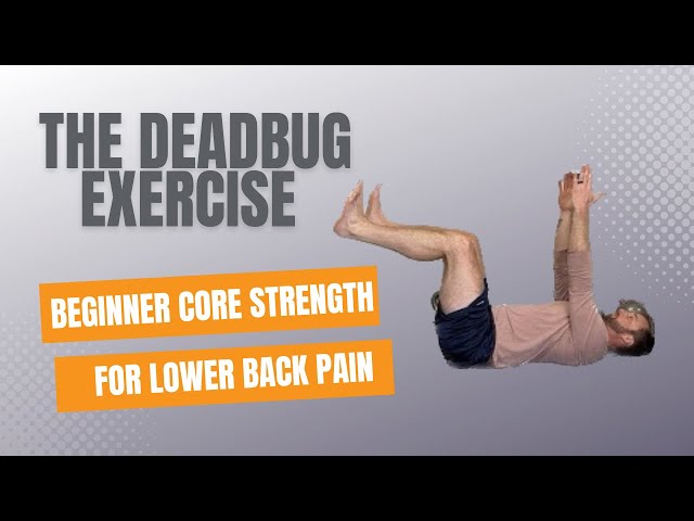 Dead Bug Exercise For Beginners | Positioning, Progressions, and Common Mistakes