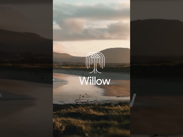 Google's Willow Quantum Chip #Quantum #AI #Breakthrough #ai #google