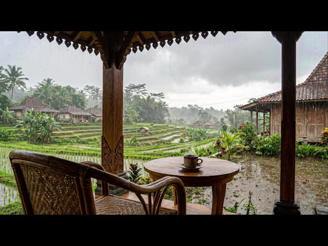 Rain Sounds for Sleep at Javanese Village 🌧️ Heavy Rain in Traditional Joglo House (1 Hour) 4K