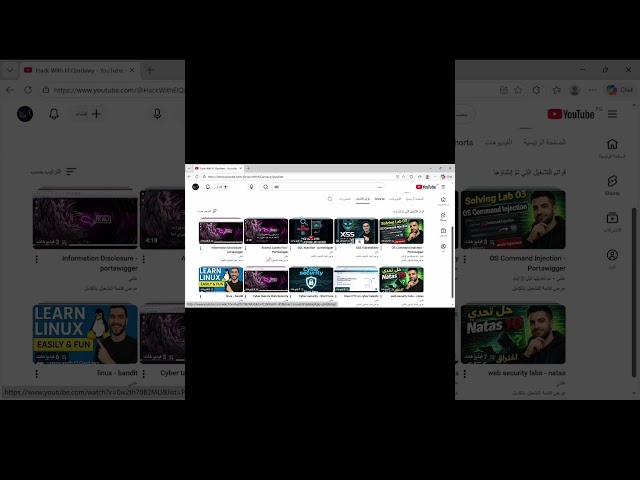 XSS Vulnerability - learn web penetration test