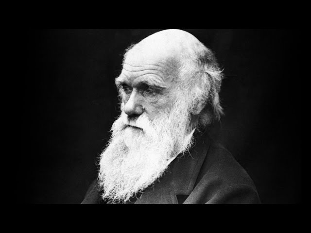 SoT 146: It Hides My Face