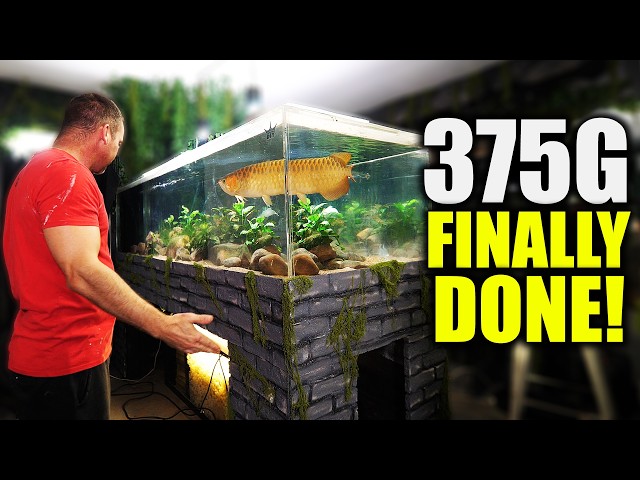 How to build a 3D aquarium STAND!! The 375G fish tank is DONE! the king of DIY