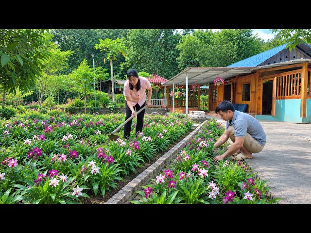 Together Build a real-life paradise and make a delicious whole fried pork knuckle | Forest Life