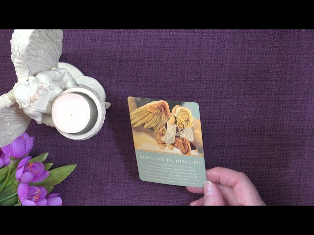 Your Daily Angel Message - A Little Angel Message — What the Angels Want You to Know Today ✨
