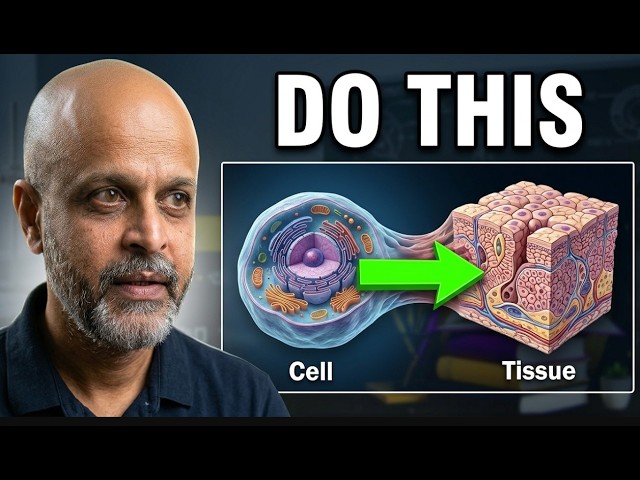Tissues in Action Part 3| Class IX Science CBSE