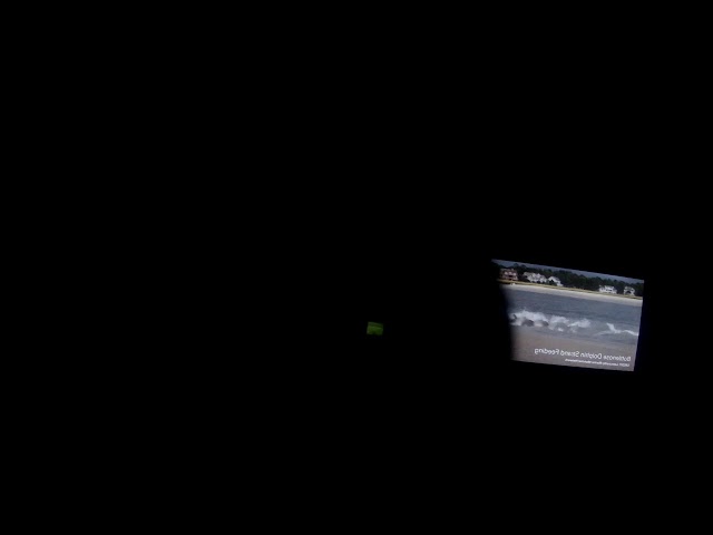Port Royal Sound Foundation Aquarium Live Cam