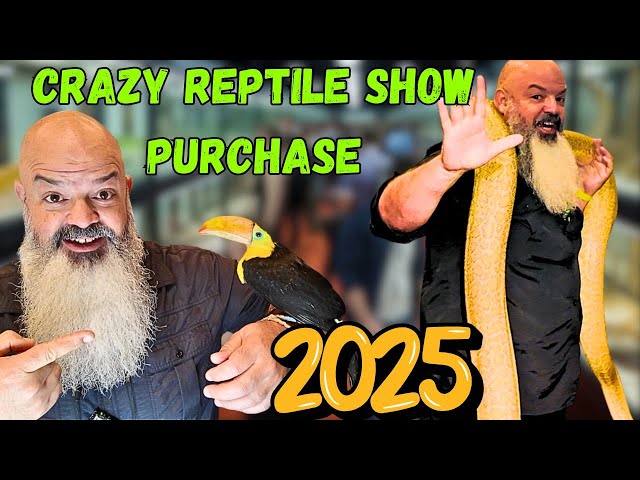 I Made a Crazy Purchase at the 2025 Las Vegas Reptile Expo!