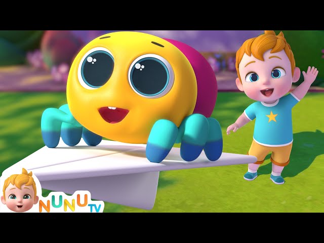 Itsy Bitsy Spider + More Nursery Rhymes & Kids Songs | NuNu TV
