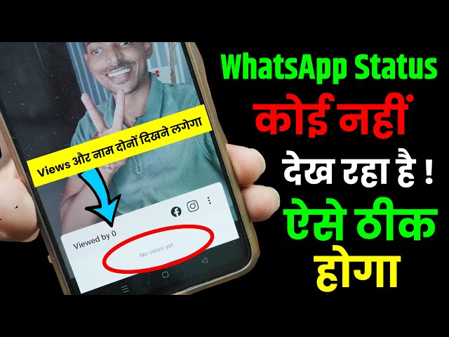 WhatsApp Status View Nahi Dikh Raha Hai, WhatsApp Status Koi Nahi Dekh Raha Hai, Views Not Showing