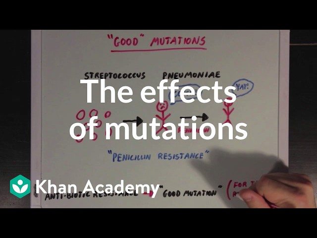 The effects of mutations | Biomolecules | MCAT | Khan Academy