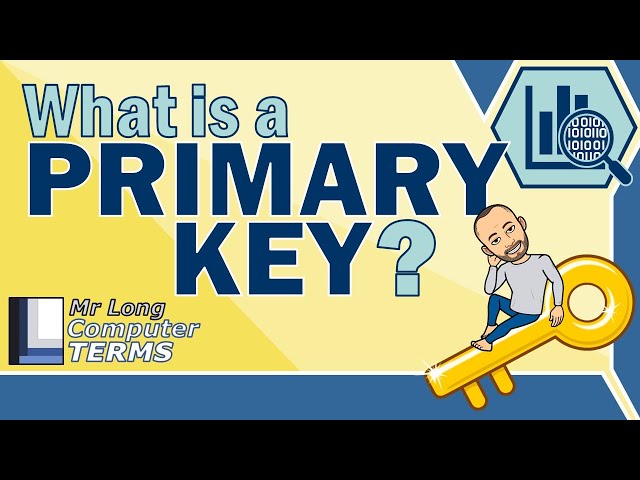 Mr Long Computer Terms | What is a Primary Key?