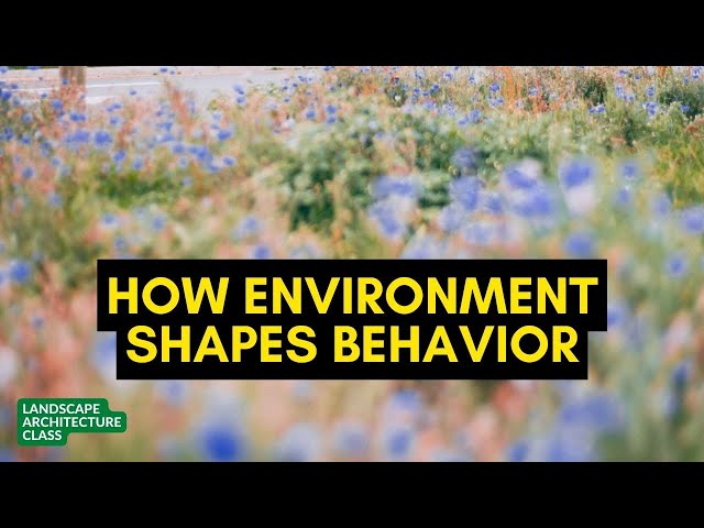How Environment Shapes Behavior