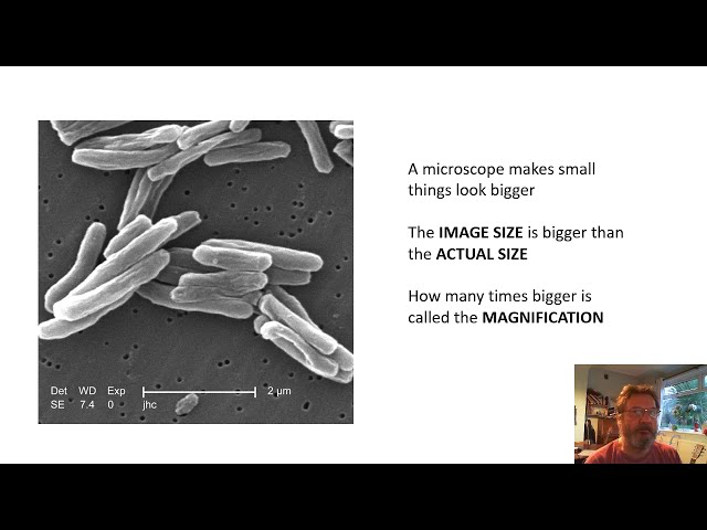 BTEC Applied Science Help: Magnification Calculations